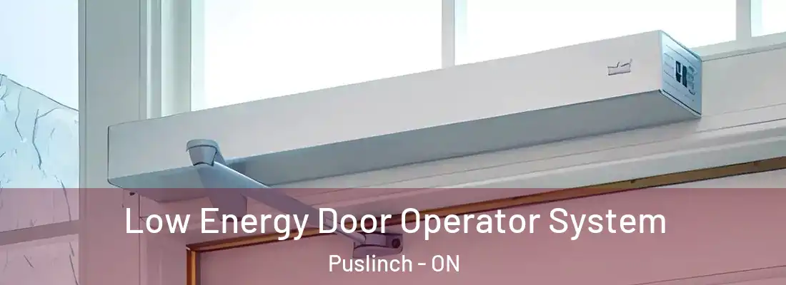  Low Energy Door Operator System Puslinch - ON