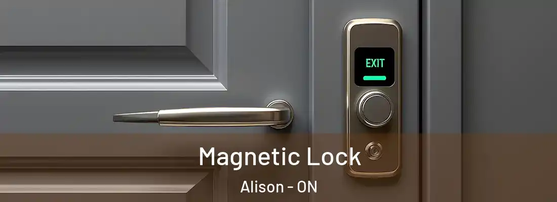  Magnetic Lock Alison - ON