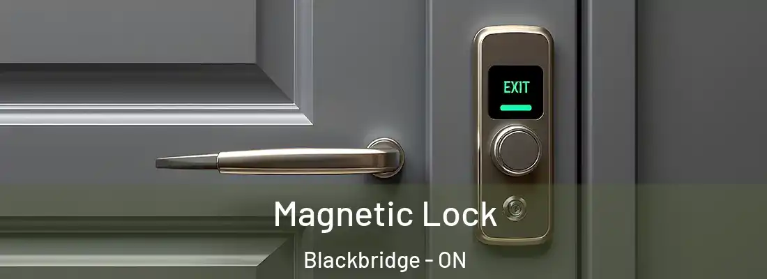  Magnetic Lock Blackbridge - ON