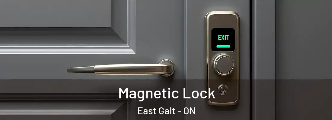  Magnetic Lock East Galt - ON