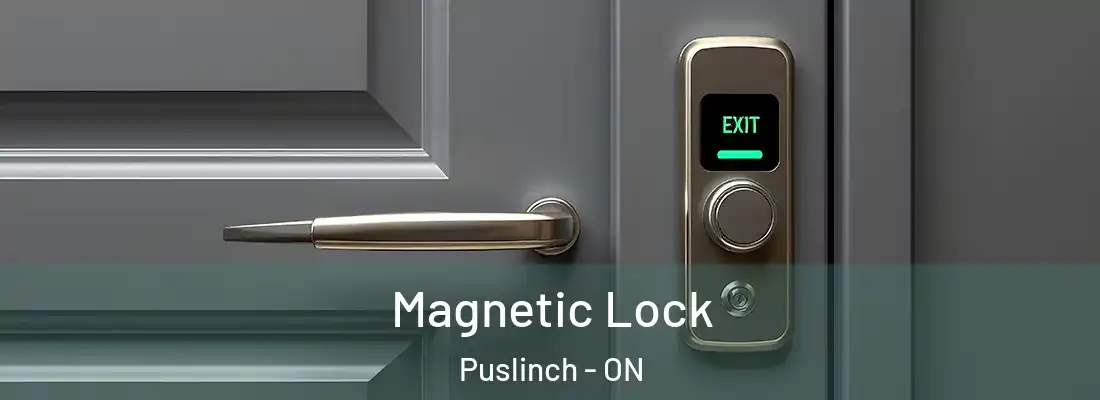  Magnetic Lock Puslinch - ON