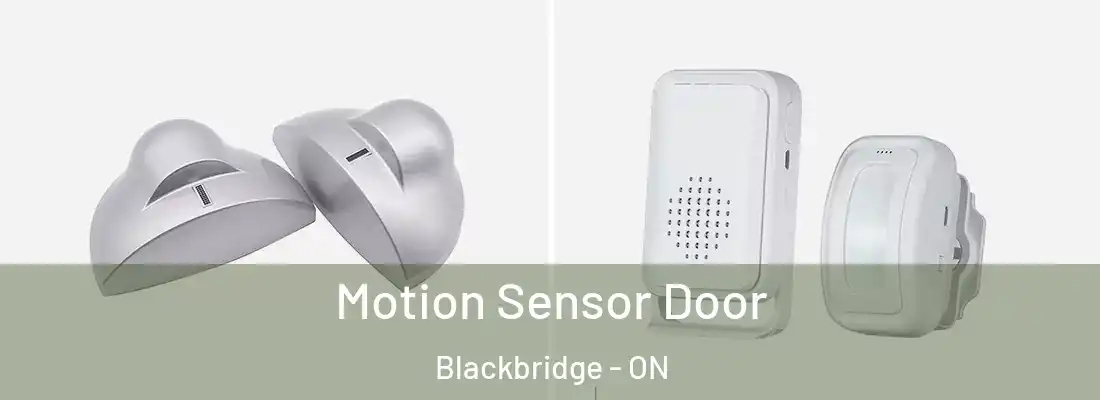  Motion Sensor Door Blackbridge - ON