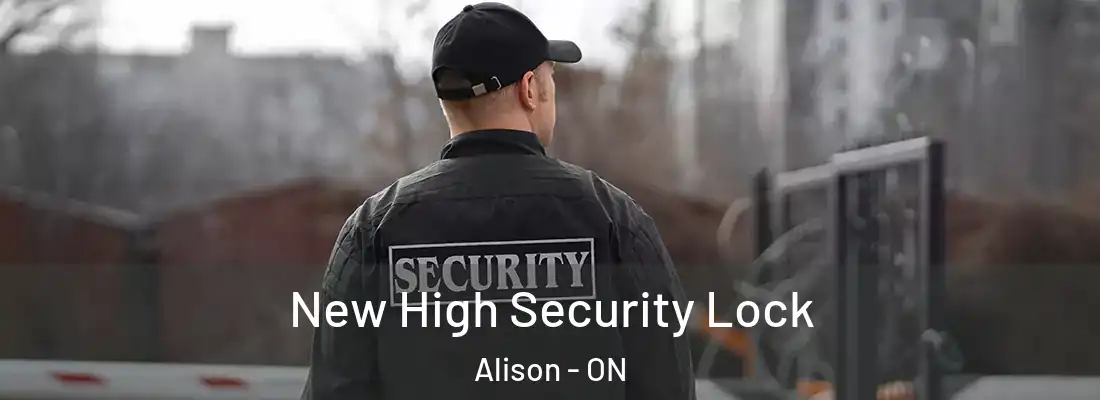  New High Security Lock Alison - ON