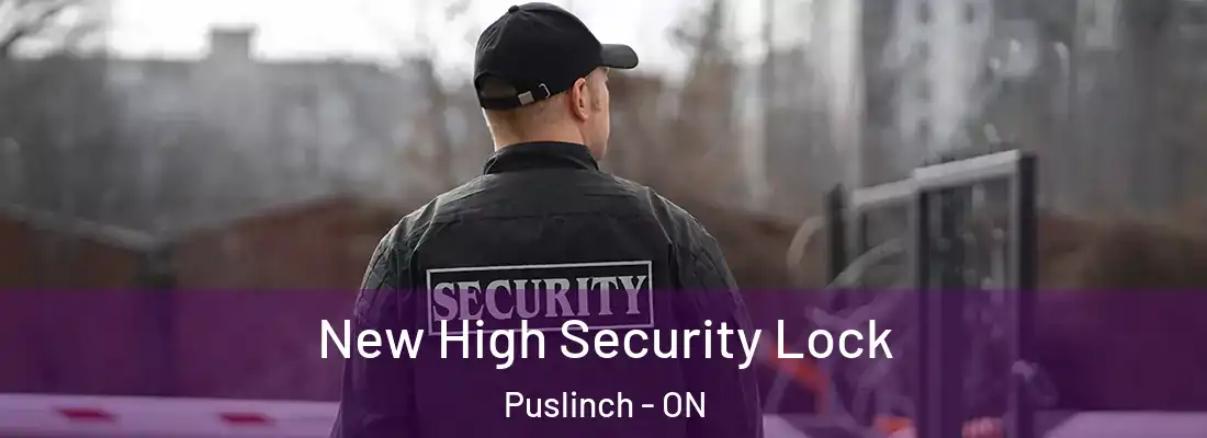 New High Security Lock Puslinch - ON