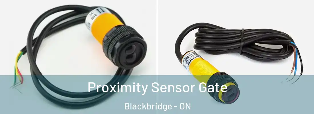  Proximity Sensor Gate Blackbridge - ON