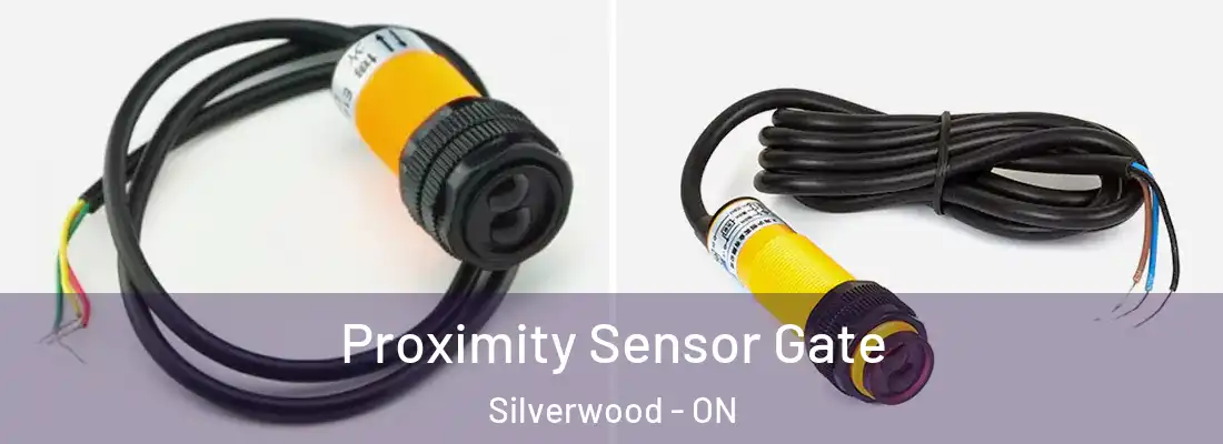  Proximity Sensor Gate Silverwood - ON
