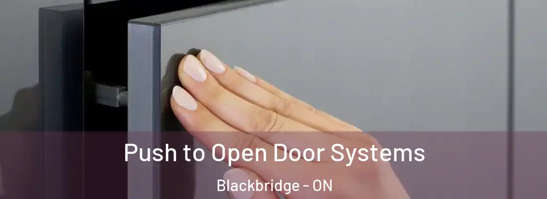  Push to Open Door Systems Blackbridge - ON
