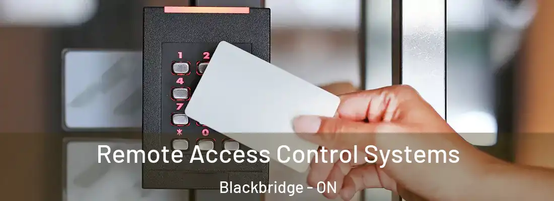  Remote Access Control Systems Blackbridge - ON