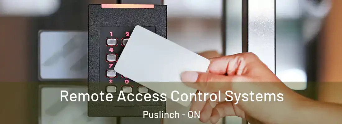  Remote Access Control Systems Puslinch - ON