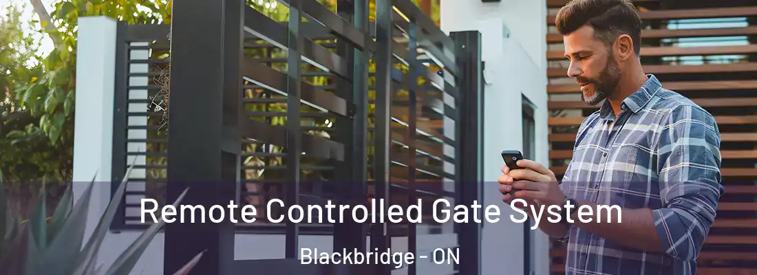  Remote Controlled Gate System Blackbridge - ON