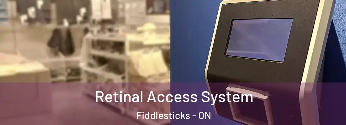  Retinal Access System Fiddlesticks - ON