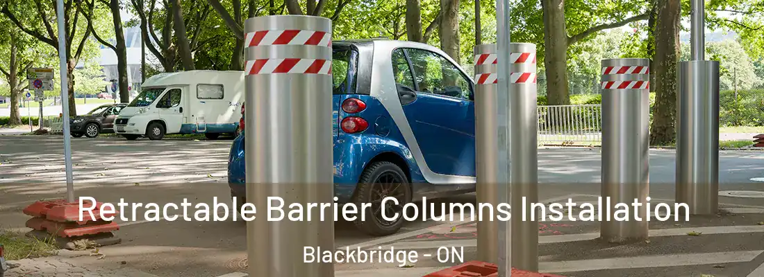 Retractable Barrier Columns Installation Blackbridge - ON