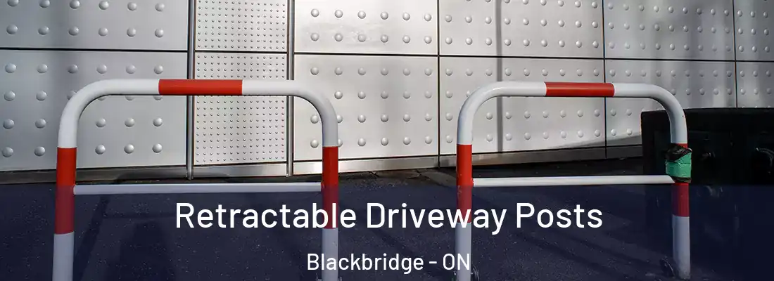  Retractable Driveway Posts Blackbridge - ON