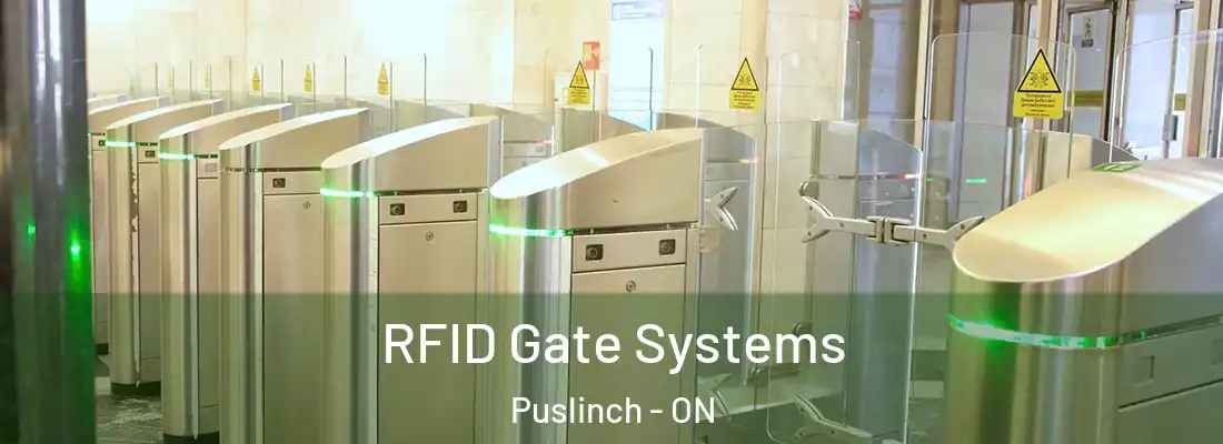  RFID Gate Systems Puslinch - ON