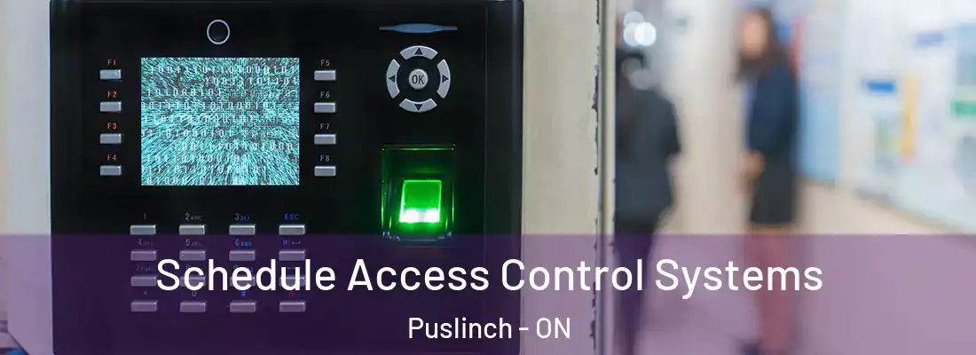  Schedule Access Control Systems Puslinch - ON