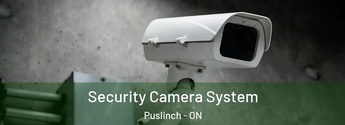  Security Camera System Puslinch - ON