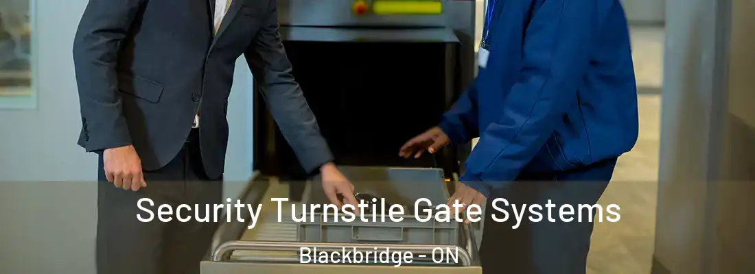  Security Turnstile Gate Systems Blackbridge - ON