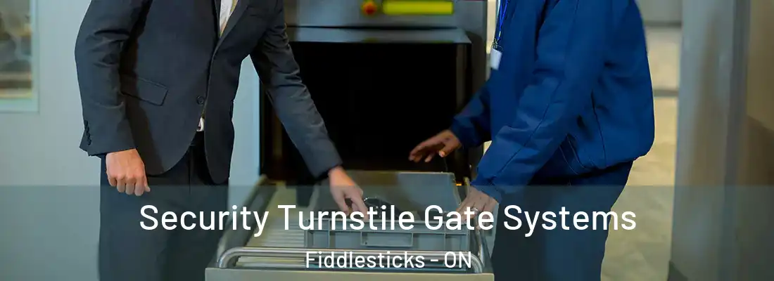  Security Turnstile Gate Systems Fiddlesticks - ON
