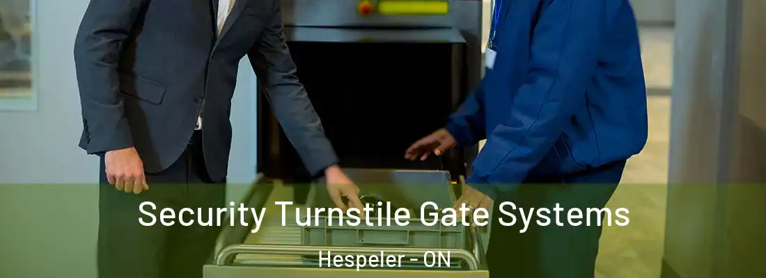  Security Turnstile Gate Systems Hespeler - ON