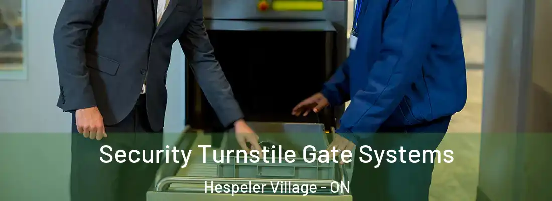  Security Turnstile Gate Systems Hespeler Village - ON