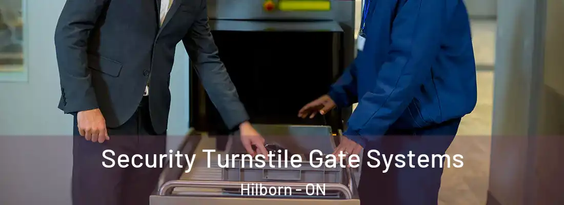  Security Turnstile Gate Systems Hilborn - ON