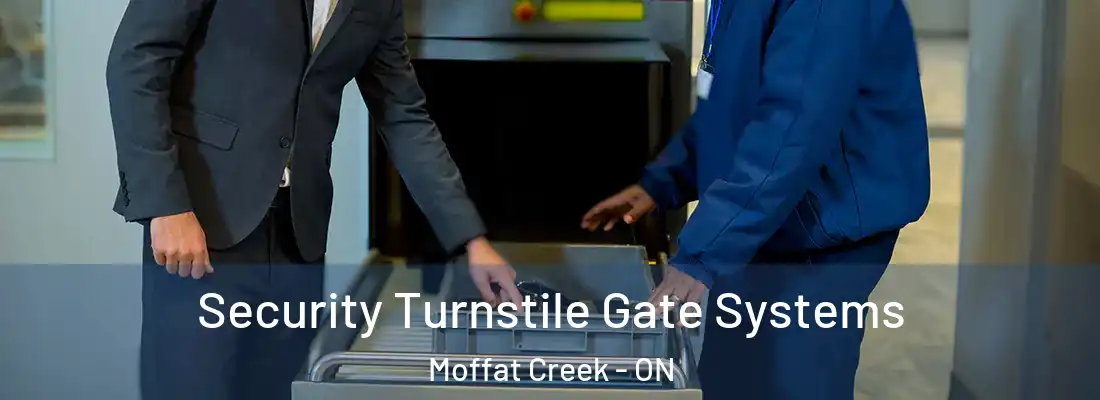  Security Turnstile Gate Systems Moffat Creek - ON