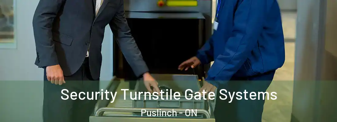  Security Turnstile Gate Systems Puslinch - ON