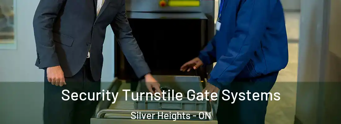  Security Turnstile Gate Systems Silver Heights - ON