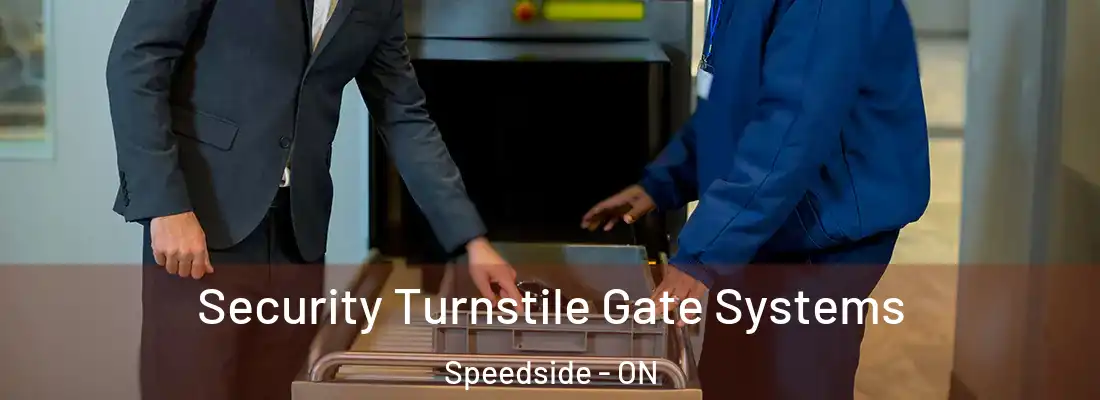  Security Turnstile Gate Systems Speedside - ON