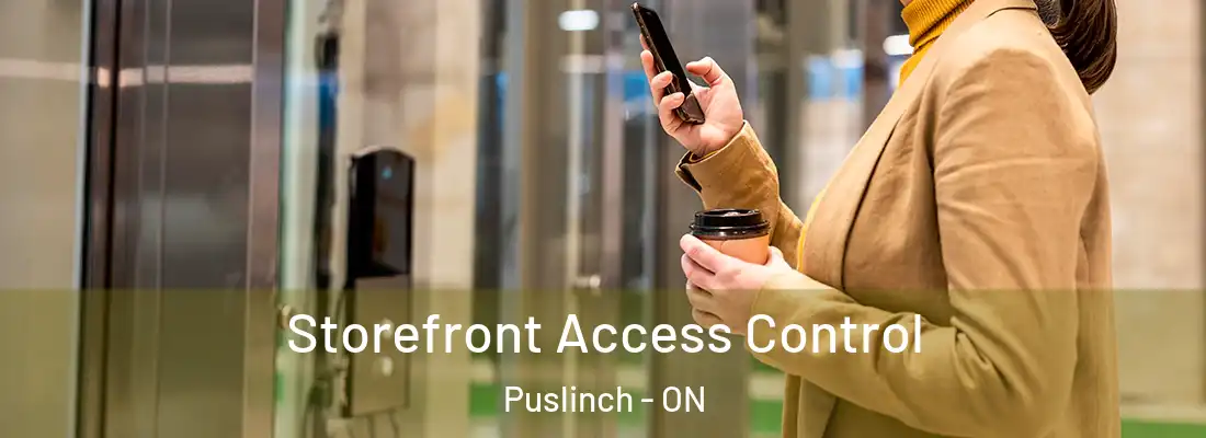  Storefront Access Control Puslinch - ON