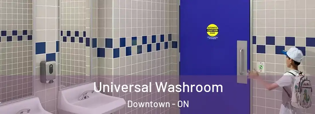 Universal Washroom Downtown - ON