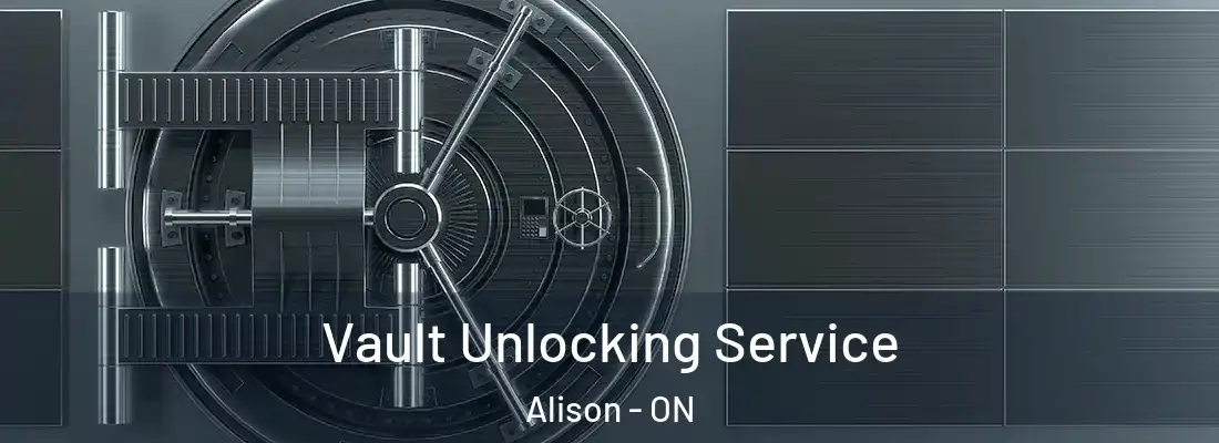  Vault Unlocking Service Alison - ON
