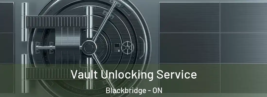  Vault Unlocking Service Blackbridge - ON