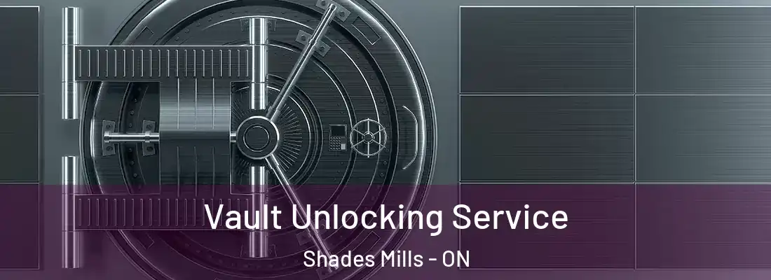  Vault Unlocking Service Shades Mills - ON