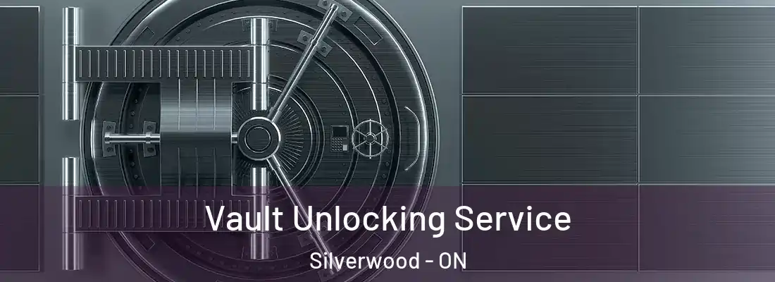 Vault Unlocking Service Silverwood - ON
