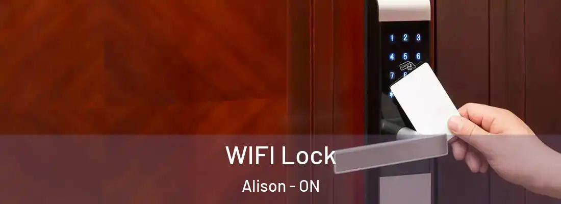  WIFI Lock Alison - ON