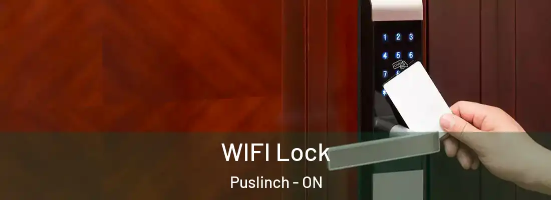  WIFI Lock Puslinch - ON